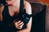 Caspa en gatos: ¿por qué se produce y cómo evitarla?