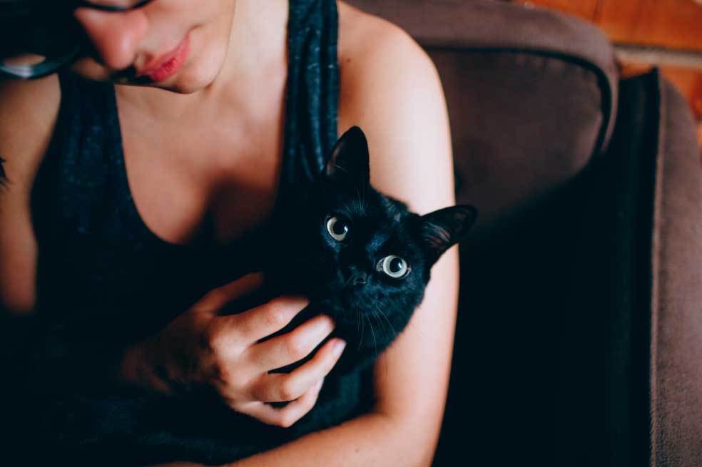 Gatos: las verdaderas razones por las que ronronean y no lo sabías