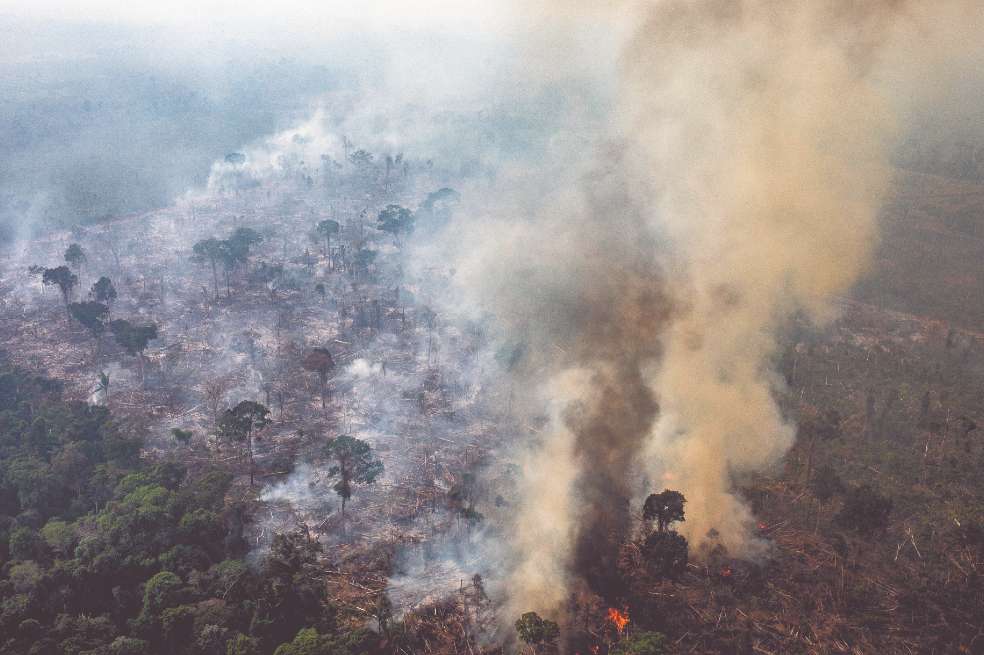 Colombia perdió más de dos millones y medio de hectáreas de bosque en los últimos setenta años, la mayor parte en las zonas de guerra.