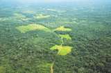 La carretera con la que quieren pavimentar el Amazonas