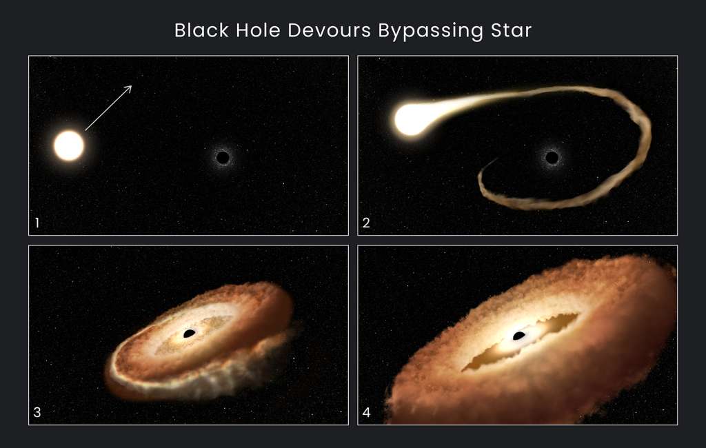 Esta secuencia de ilustraciones de artistas muestra el evento captado por el Telescopio Hubble. 1. Una estrella normal pasa cerca de un agujero negro supermasivo, que se encuentra en el centro de una galaxia. 2. Los gases exteriores de la estrella son atraídos hacia el campo gravitatorio del agujero negro. 3. La estrella se tritura cuando las fuerzas de las mareas la separan. 4. Los remanentes estelares son atraídos hacia un anillo en forma de rosquilla alrededor del agujero negro y eventualmente caerán en el agujero negro, liberando una enorme cantidad de luz y radiación de alta energía.
