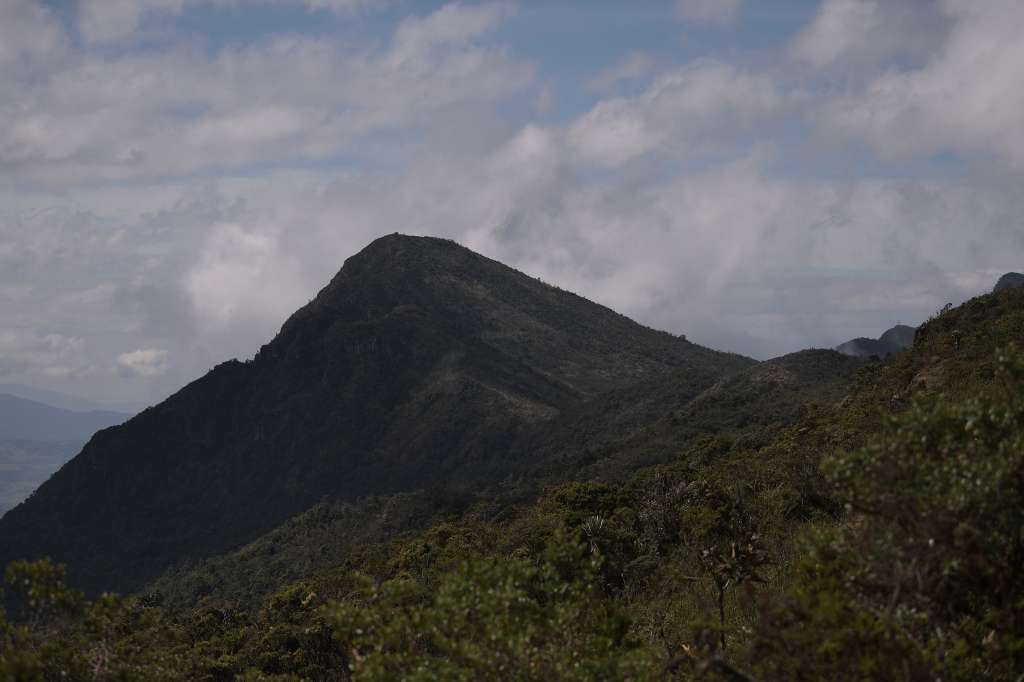 Recorrido por el Parque Chingaza en el que se observan venados, diferentes plantas y la Laguna, ubicada en la cordillera Oriental de los Andes, al noreste de Bogotá.