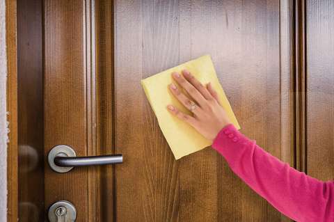¿Cuáles son los beneficios de limpiar la puerta de tu casa con hierbabuena?