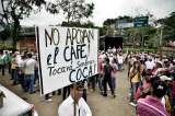 Costos de la caficultura, sorbo a sorbo