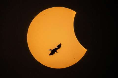 Eclipse solar de abril 2023: signos del zodiaco que deben cuidarse de sus efectos
