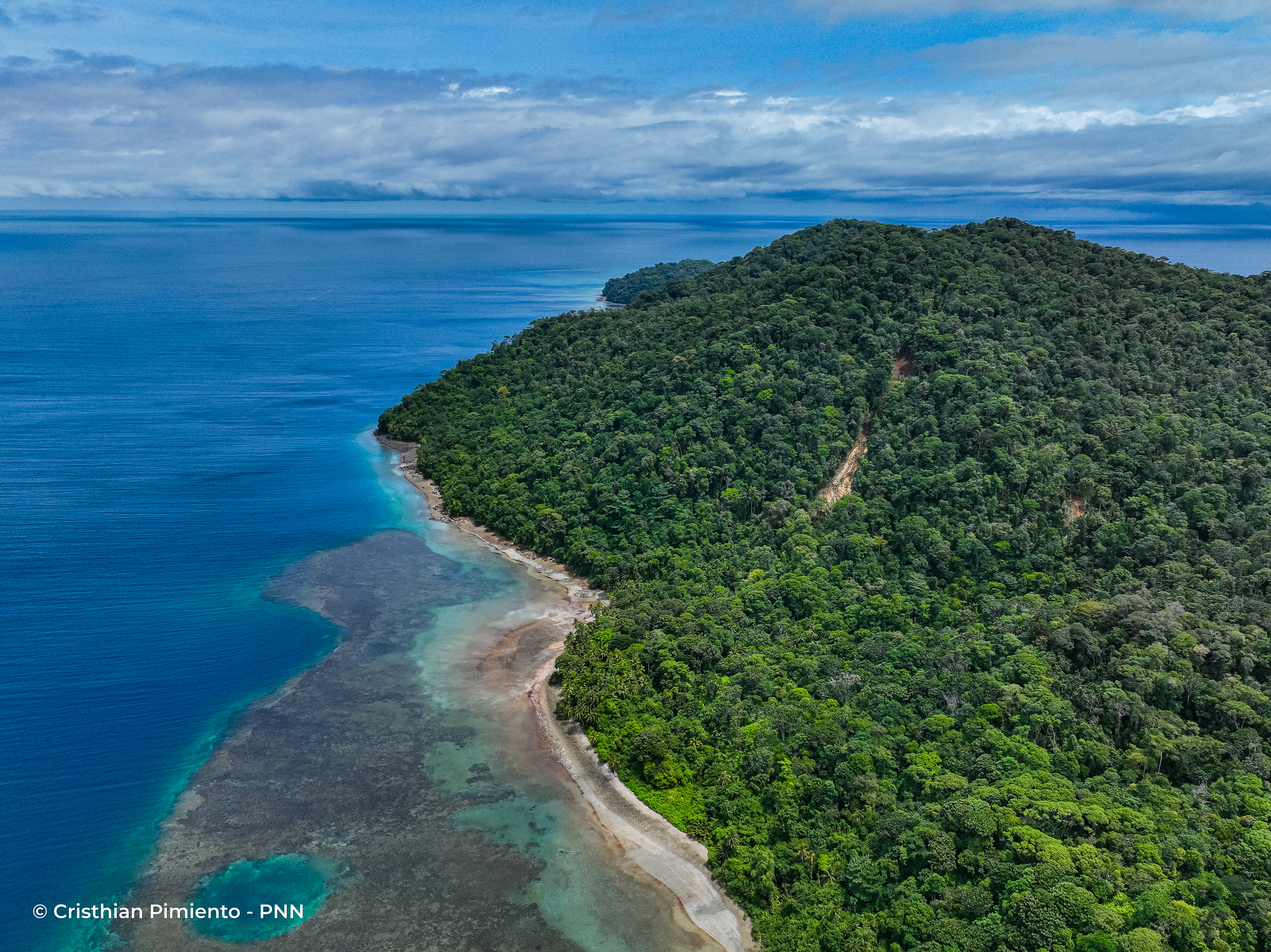 Parque Nacional Natural Gorgona.