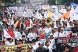 “El gallo nace para pelear”: mexicanos marcharon en defensa de esta tradición