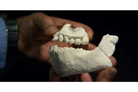 Hallan en Etiopía restos de otro eslabón en la evolución humana