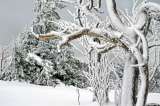 Siberia vive una ola de frío extremo con hasta 65 grados bajo cero