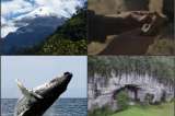 La serie audiovisual que muestra la ciencia colombiana