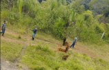 Declaran calamidad pública en Rosas (Cauca) por nuevas grietas en vía Panamericana