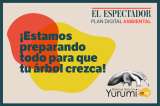 ¿Cómo es el proceso de siembra? ¿Cuál es la fecha ideal? Aquí despejamos tus dudas