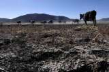 En 2023 se presentarían olas de calor sin precedentes por fenómeno de El Niño