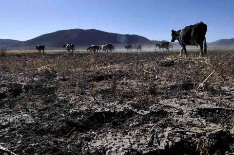 Un posible “súper Fenómeno de El Niño” se presentaría antes del final del año