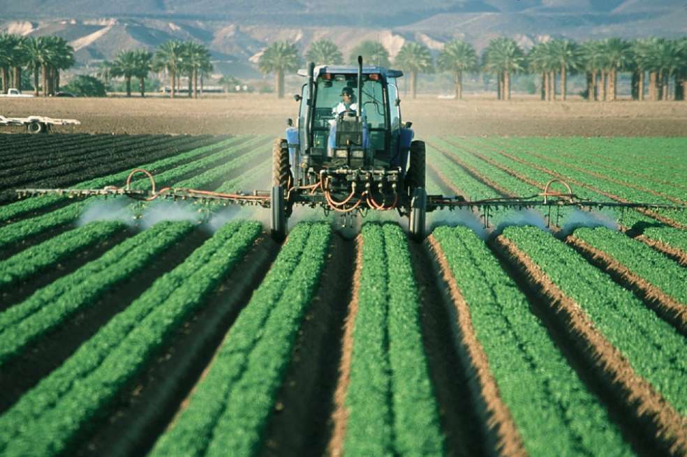 La ONU advierte que la industria de pesticidas genera "tácticas de marketing agresivas y poco éticas" que esconden los daños ambientales y a la salud de sus productos. / Pixabay: skeeze