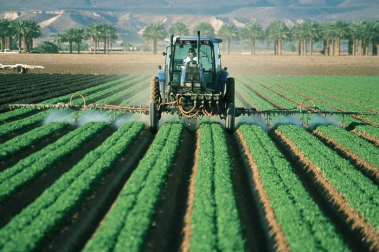 «Los pesticidas son los responsables de la muerte de 200.000 personas cada año»: ONU