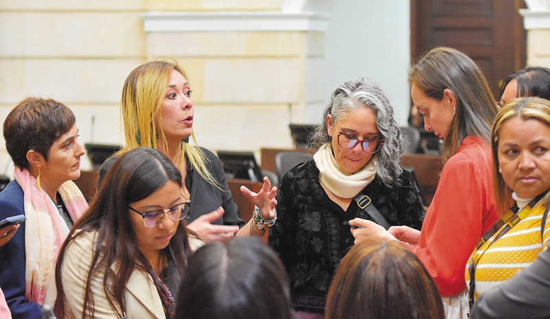 La iniciativa daría al Consejo Nacional Electoral la función de promover, garantizar y proteger los derechos políticos de las mujeres.