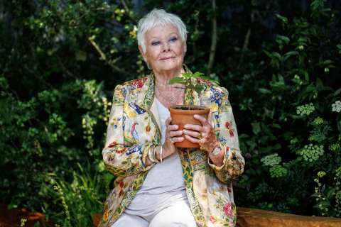 Judi Dench ya no reconoce los rostros: así evoluciona la enfermedad de la famosa actriz