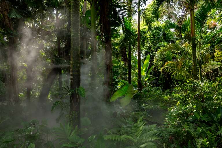 Turismo en Miami, naturaleza, Fairchild Tropical Botanic Garden