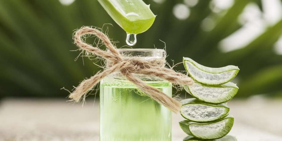Aplica el gel de aloe vera en tu rostro limpio y déjalo actuar durante unos minutos