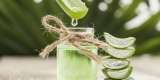 Cómo usar el aloe vera para bajar de peso