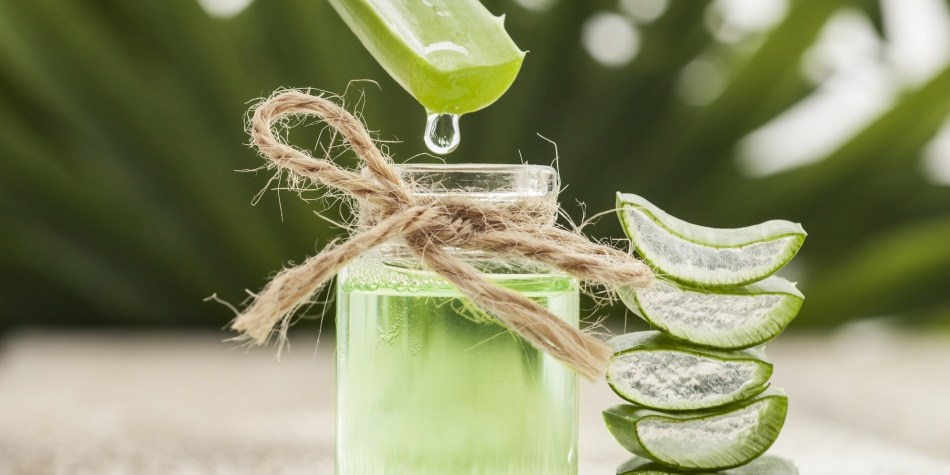 Aloe vera: ¿Qué pasa si se consume sábila cruda?