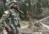 Fuerzas Militares niegan combates y persecuciones tras bombardeo en Caquetá
