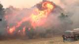Incendios en Grecia: encuentran calcinadas a más de 20 personas: serían migrantes