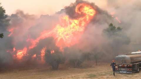 Incendios en Grecia: encuentran calcinadas a más de 20 personas: serían migrantes