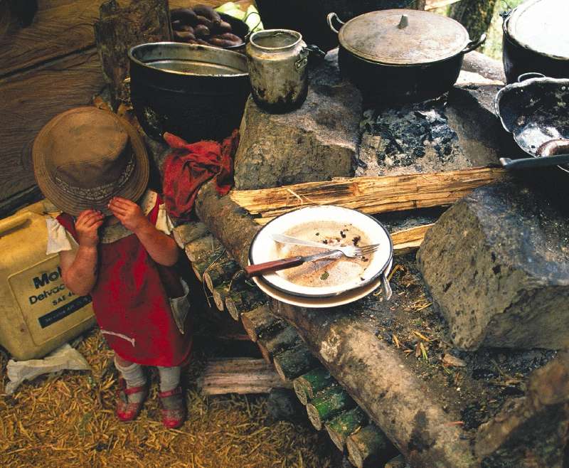 El 28 % de los pagos de Ingreso Solidario ha sido destinado a hogares rurales.