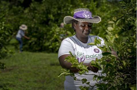 Mujeres rurales en Colombia: liderazgo para la transformación territorial