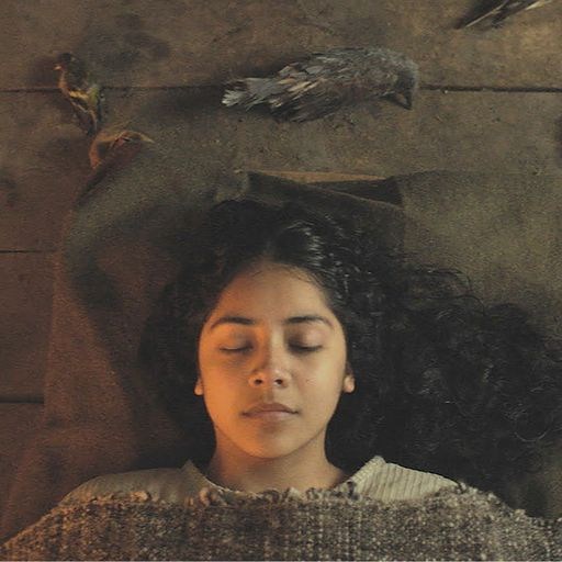 “Sorcery”, la historia de resistencia indígena que crea sensación en Sundance