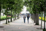 Deserción universitaria en Iberoamérica alcanza el 33 %