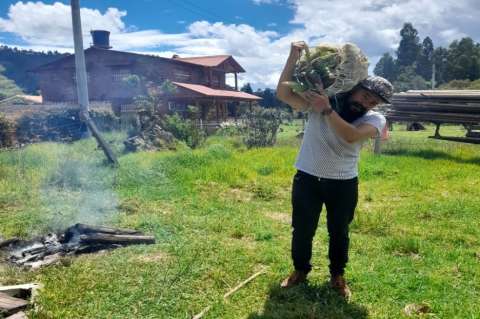 Retorno a las raíces