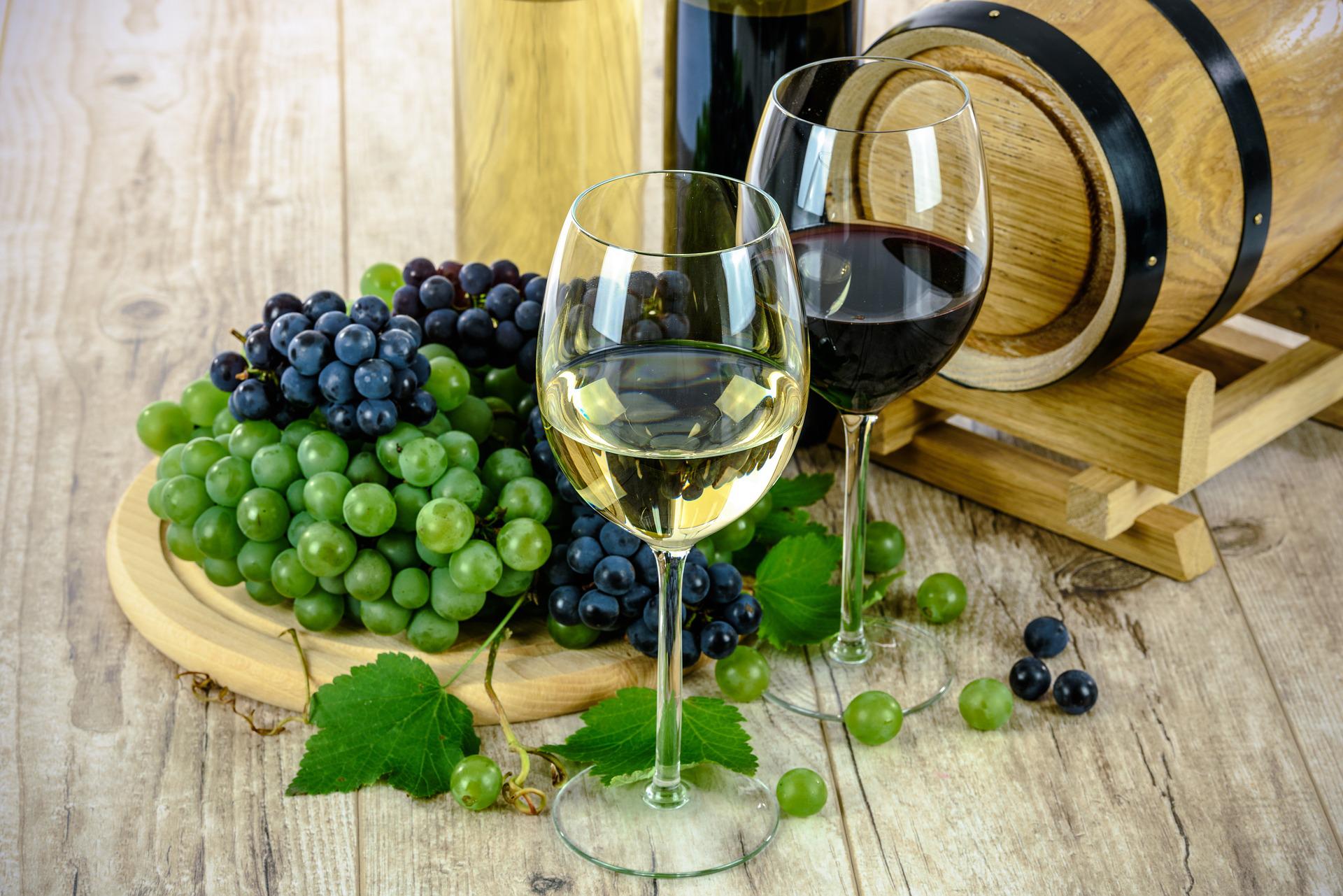 Expovino 2022
