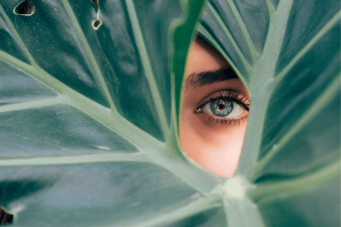 ¿A través del ojo, se pueden identificar enfermedades? Expertos aseguran que sí
