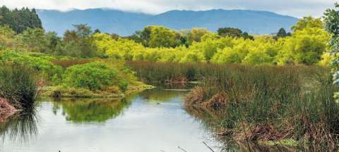 Estas son las principales caminatas ecológicas de Bogotá
