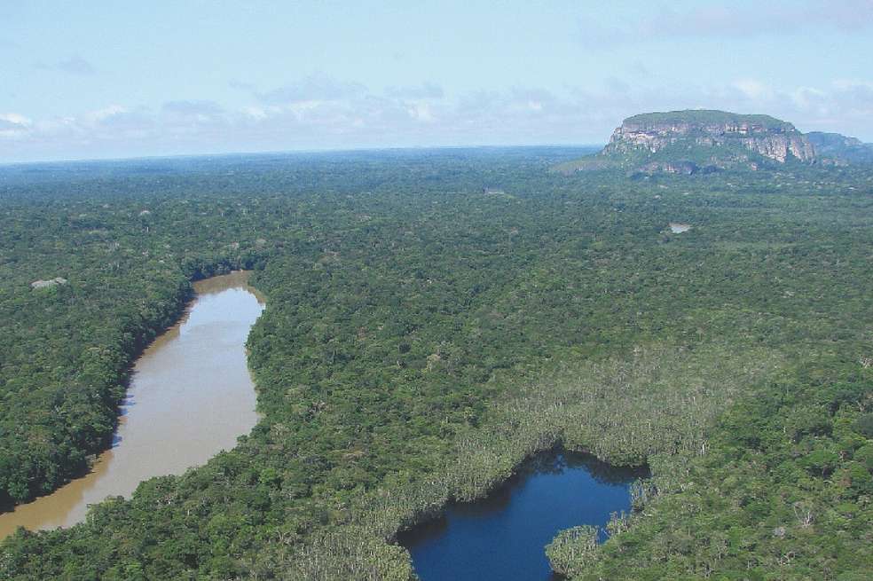 Chiribiquete es del tamaño de Dinamarca. Es tres veces más grande que uno de los parques nacionales más representativos de África. / Luis Germán Naranjo/ WWF Colombia