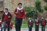 Hasta marzo habían sido reportados casi 100 casos de abuso en colegios de Bogotá