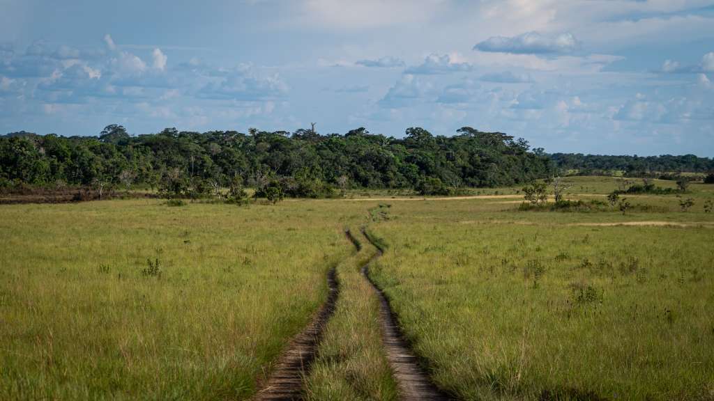 Las sabanas del Yarí es una zona ubicada en la selva amazónica de los departamentos de Caquetá, Guaviare y Meta.