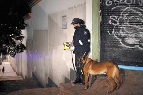 Jornada laboral de seis horas para perros de seguridad: esto dice la norma