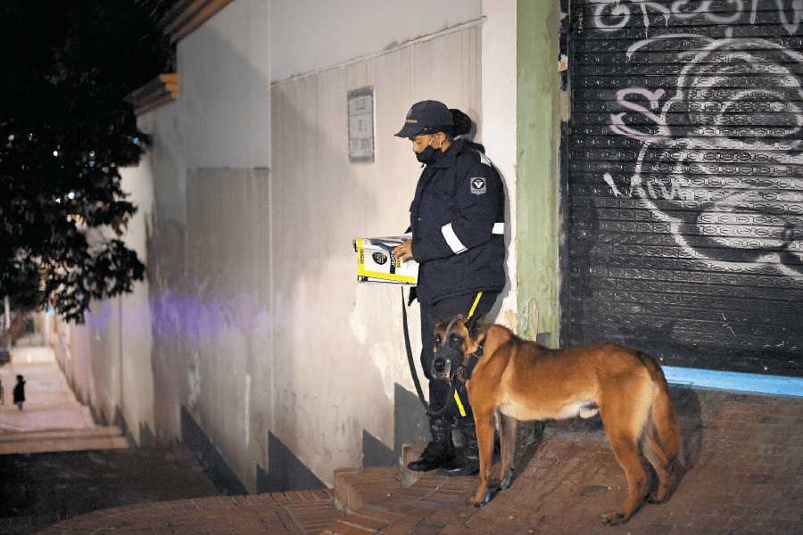 Ley Lorenzo: ¿una victoria para los perros o un desafío para la seguridad privada?