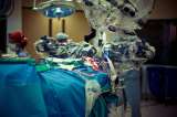 Robots en el cerebro