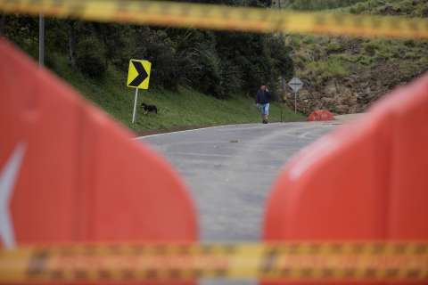 En 2025 atropellamos más de 8.000 animales en Colombia. Esta es la nueva guía para evitarlo