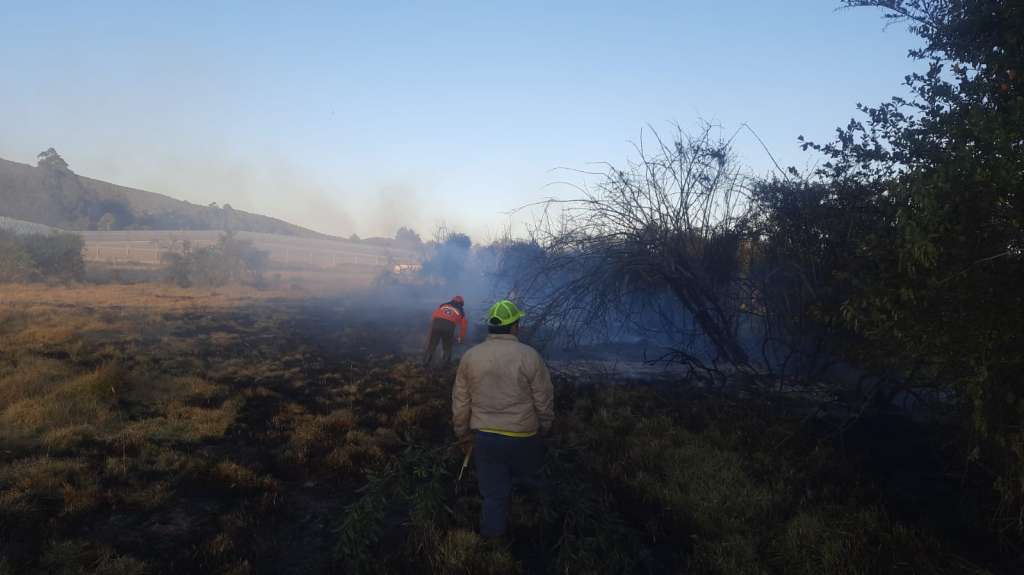 Fuertes sanciones a quien ocasione daños ambientales.