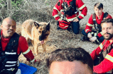 El tierno gesto con el que este perro agradeció a los bomberos que lo salvaron