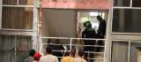 Asesinaron a dos jóvenes en urbanización de Las Gardenias, en Barranquilla