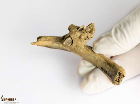 ¿Cómo fue una pelea hace 4.000 años? Científicos podrían tener la respuesta