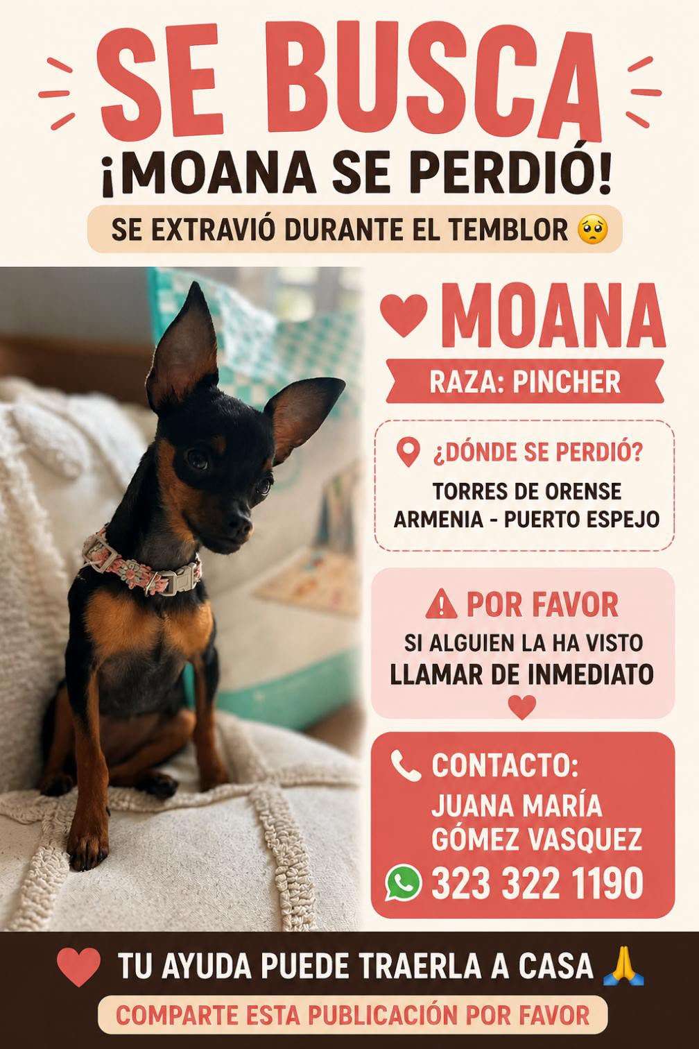 Moana