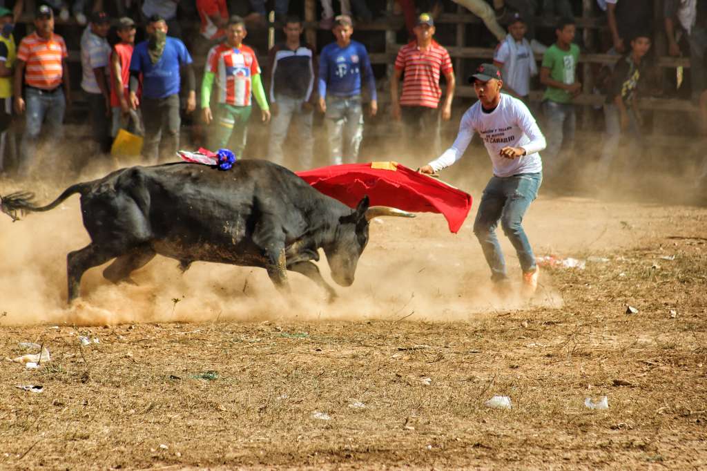 La Fiesta en Corralejas que se celebra en Sincelejo, Sucre, fue declarada Patrimonio Cultural de la Nación.